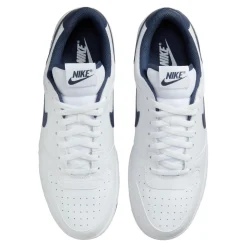 Big_nike_low