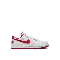Big_nike_low