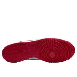 Big_nike_low