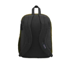 Big student