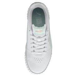Carina_3.0-l