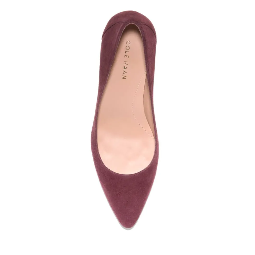 Carlotta_pump