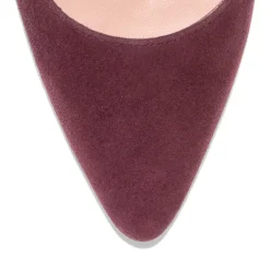 Carlotta_pump