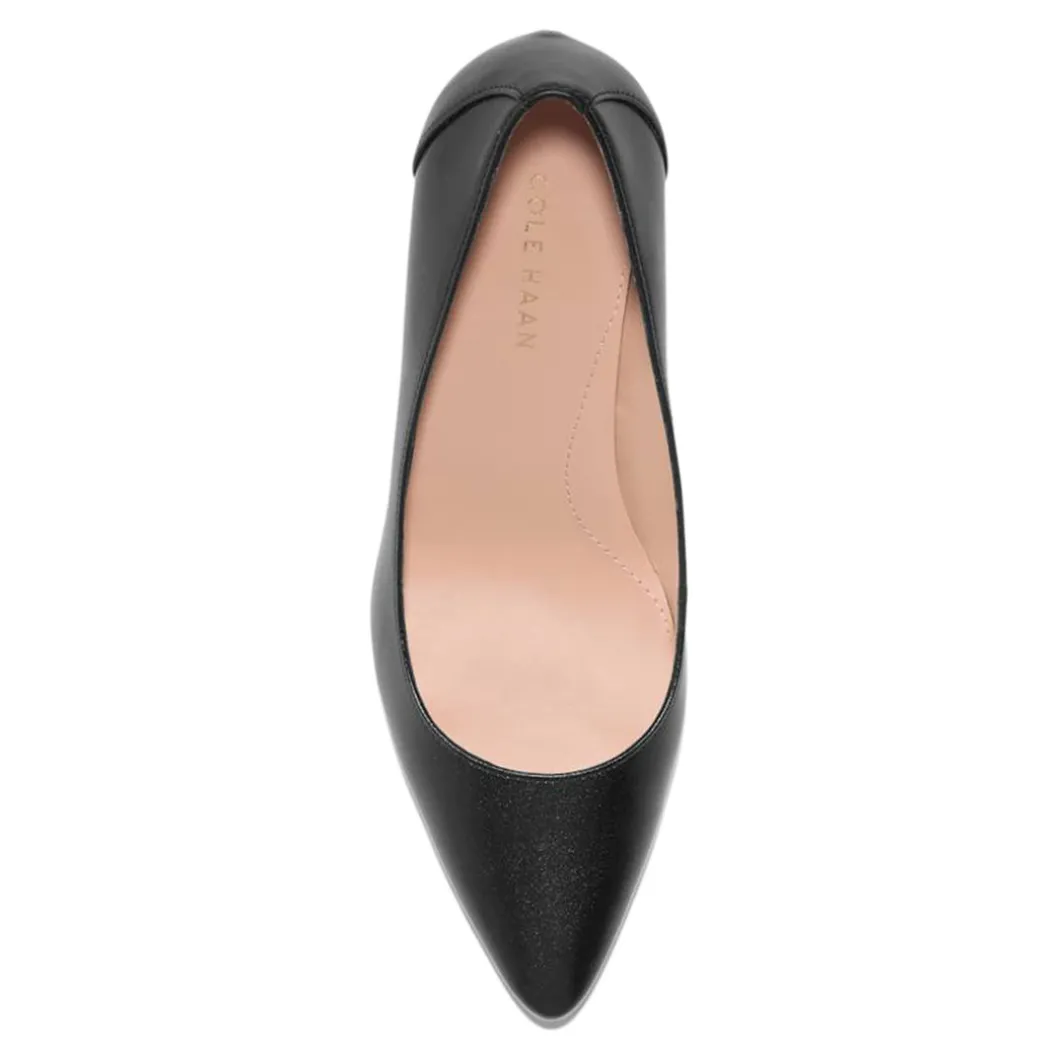 Carlotta_pump