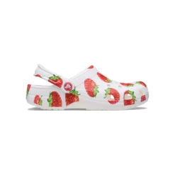 Classic_fruit