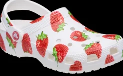 Classic_fruit