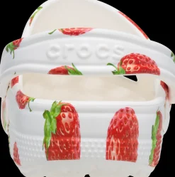 Classic_fruit