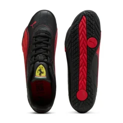 Ferrari catch-m