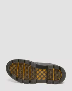 Saddleback_comb