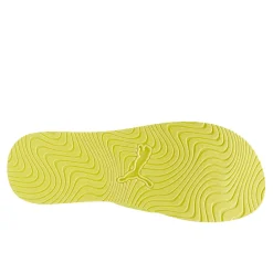 Sandy_flip
