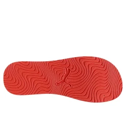 Sandy_flip