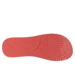 Sandy_flip