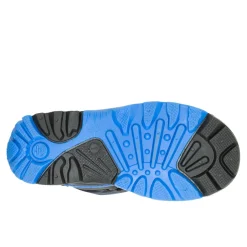 Waterbug5-jb.