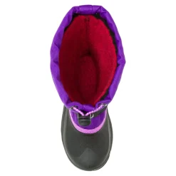 Waterbug5-jg.