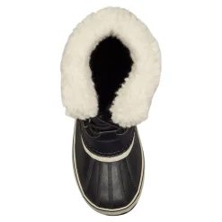 Winter_carnival